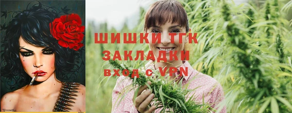 СК Горняк