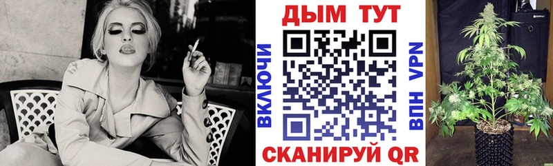 где купить наркоту  Далматово  Марихуана Ganja 